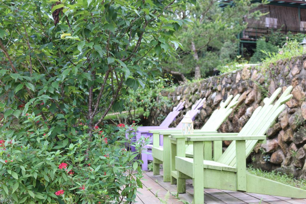Bear Meets Moose Homestay B&B Puli Esterno foto